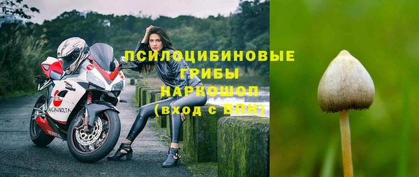 сатива Сафоново