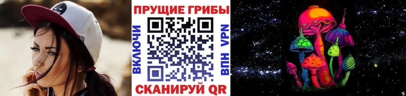 Псилоцибиновые грибы Cubensis  где найти   Завитинск 